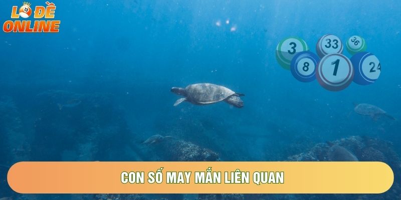 Con số may mắn liên quan