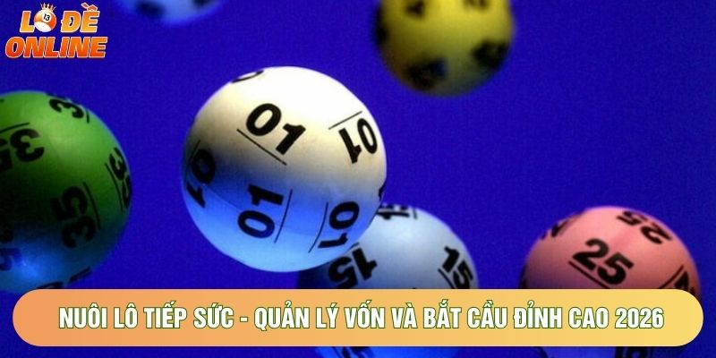 Nuôi Lô Tiếp Sức - Quản Lý Vốn Và Bắt Cầu Đỉnh Cao 2026